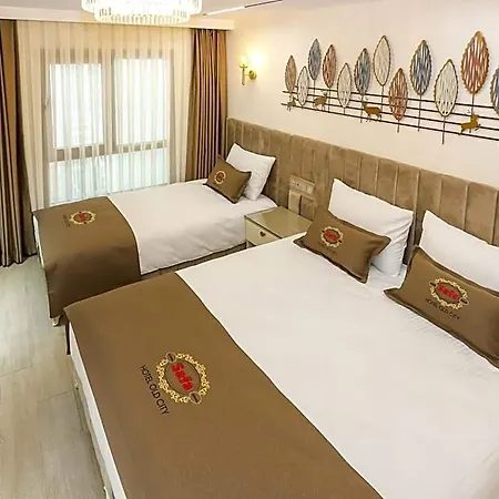 Safa Old Hotel